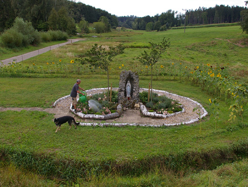 Auerochsen im Josefstal - Allgemein