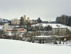 Auerochsen im Josefstal