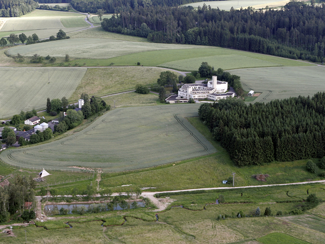 Auerochsen im Josefstal - Bachrenaturierung