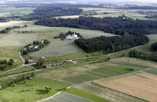 Auerochsen im Josefstal - Besucherweg