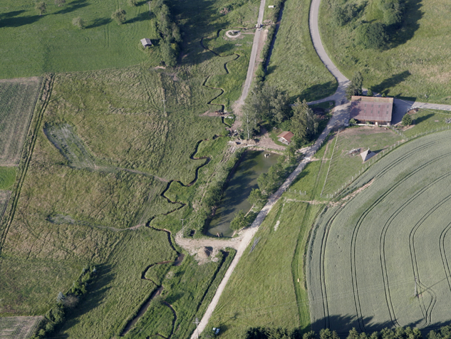 Auerochsen im Josefstal - Besucherweg